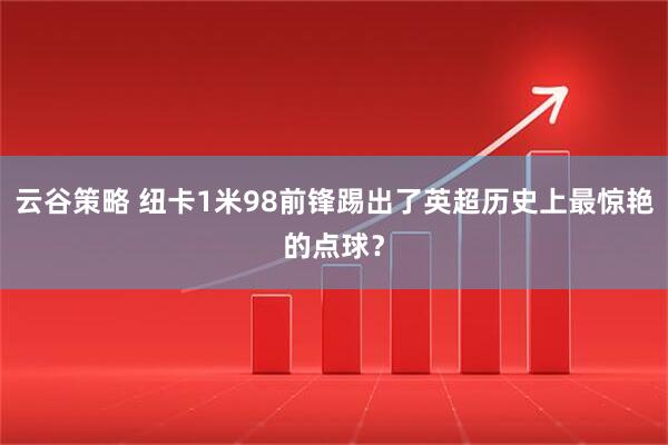 云谷策略 纽卡1米98前锋踢出了英超历史上最惊艳的点球？