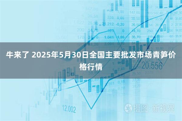 牛来了 2025年5月30日全国主要批发市场青笋价格行情