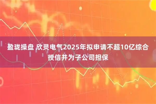 盈珑操盘 欣灵电气2025年拟申请不超10亿综合授信并为子公司担保