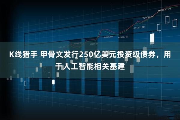 K线猎手 甲骨文发行250亿美元投资级债券，用于人工智能相关基建